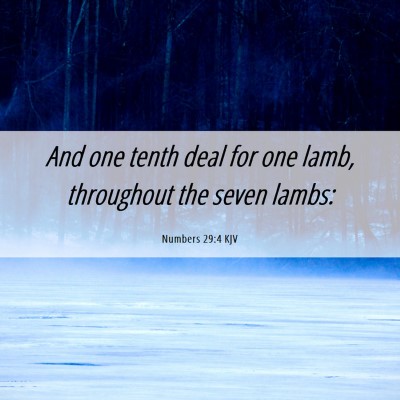 Picture 06 - Numbers 29:4 KJV - And one tenth deal for one lamb, throughout the - Bible Verse Picture