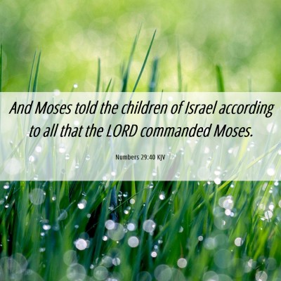 Picture 06 - Numbers 29:40 KJV - And Moses told the children of Israel according - Bible Verse Picture