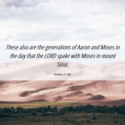 Picture 06 - Numbers 3:1 KJV - These also are the generations of Aaron and Moses - Bible Verse Picture