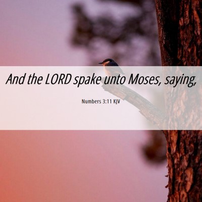 Picture 06 - Numbers 3:11 KJV - And the LORD spake unto Moses, - Bible Verse Picture