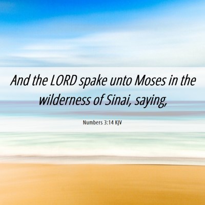 Picture 06 - Numbers 3:14 KJV - And the LORD spake unto Moses in the wilderness - Bible Verse Picture