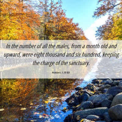 Picture 06 - Numbers 3:28 KJV - In the number of all the males, from a month old - Bible Verse Picture