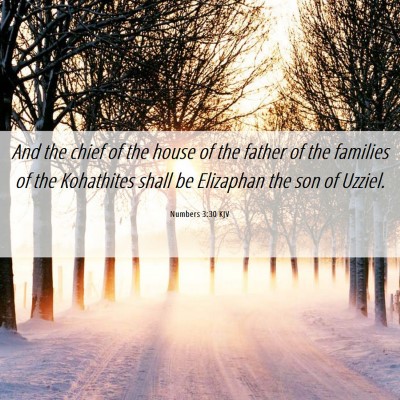 Picture 06 - Numbers 3:30 KJV - And the chief of the house of the father of the - Bible Verse Picture