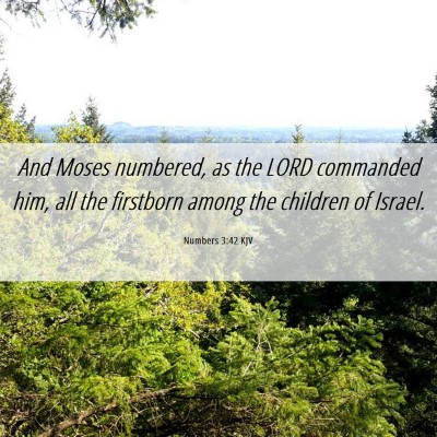 Picture 06 - Numbers 3:42 KJV - And Moses numbered, as the LORD commanded him, - Bible Verse Picture