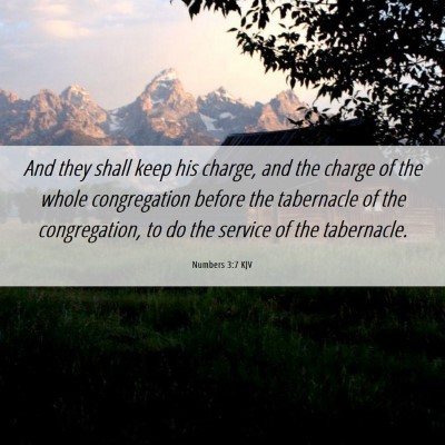 Picture 06 - Numbers 3:7 KJV - And they shall keep his charge, and the charge of - Bible Verse Picture