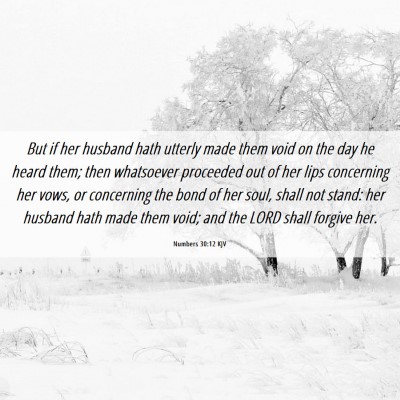 Picture 06 - Numbers 30:12 KJV - But if her husband hath utterly made them void on - Bible Verse Picture