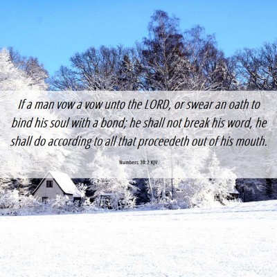 Picture 06 - Numbers 30:2 KJV - If a man vow a vow unto the LORD, or swear an - Bible Verse Picture