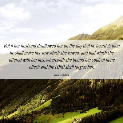 Picture 06 - Numbers 30:8 KJV - But if her husband disallowed her on the day that - Bible Verse Picture
