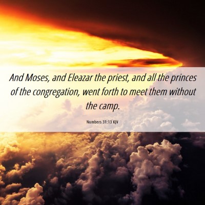 Picture 06 - Numbers 31:13 KJV - And Moses, and Eleazar the priest, and all the - Bible Verse Picture