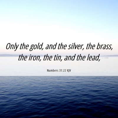 Picture 06 - Numbers 31:22 KJV - Only the gold, and the silver, the brass, the - Bible Verse Picture