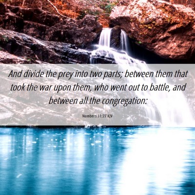 Picture 06 - Numbers 31:27 KJV - And divide the prey into two parts; between them - Bible Verse Picture