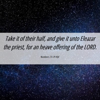 Picture 06 - Numbers 31:29 KJV - Take it of their half, and give it unto Eleazar - Bible Verse Picture