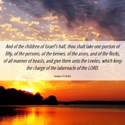 Picture 06 - Numbers 31:30 KJV - And of the children of Israel's half, thou shalt - Bible Verse Picture
