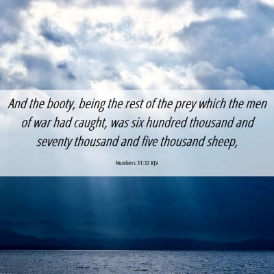 Picture 06 - Numbers 31:32 KJV - And the booty, being the rest of the prey which - Bible Verse Picture