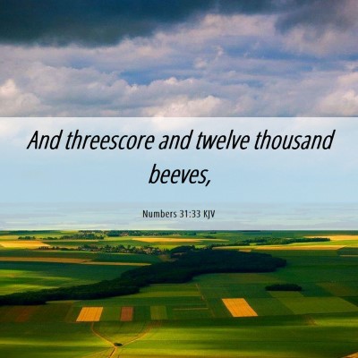 Picture 06 - Numbers 31:33 KJV - And threescore and twelve thousand - Bible Verse Picture