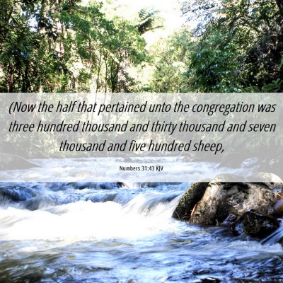 Picture 06 - Numbers 31:43 KJV - (Now the half that pertained unto the - Bible Verse Picture