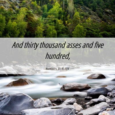 Picture 06 - Numbers 31:45 KJV - And thirty thousand asses and five - Bible Verse Picture