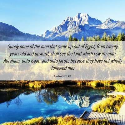 Picture 06 - Numbers 32:11 KJV - Surely none of the men that came up out of Egypt, - Bible Verse Picture