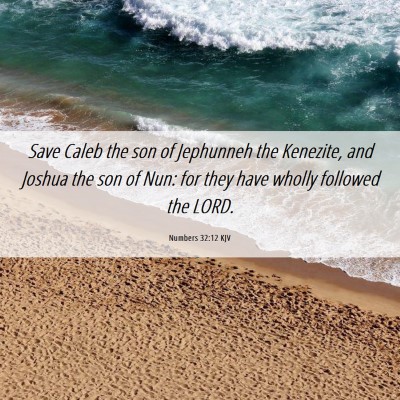 Picture 06 - Numbers 32:12 KJV - Save Caleb the son of Jephunneh the Kenezite, and - Bible Verse Picture