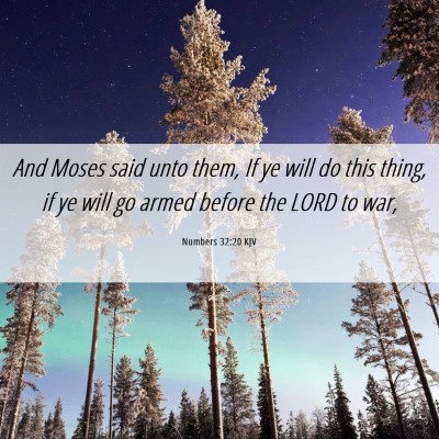 Picture 06 - Numbers 32:20 KJV - And Moses said unto them, If ye will do this - Bible Verse Picture