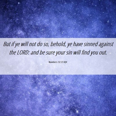 Picture 06 - Numbers 32:23 KJV - But if ye will not do so, behold, ye have sinned - Bible Verse Picture