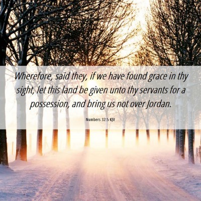 Picture 06 - Numbers 32:5 KJV - Wherefore, said they, if we have found grace in - Bible Verse Picture