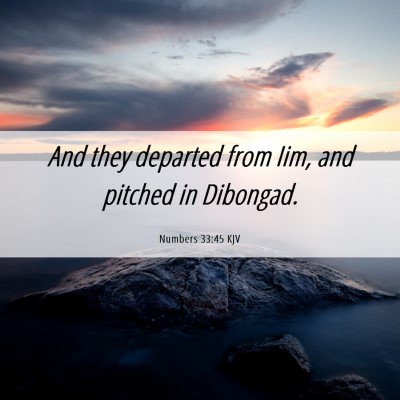 Picture 06 - Numbers 33:45 KJV - And they departed from Iim, and pitched in - Bible Verse Picture
