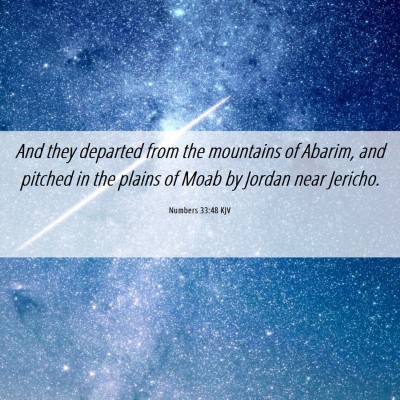 Picture 06 - Numbers 33:48 KJV - And they departed from the mountains of Abarim, - Bible Verse Picture