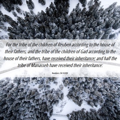 Picture 06 - Numbers 34:14 KJV - For the tribe of the children of Reuben according - Bible Verse Picture