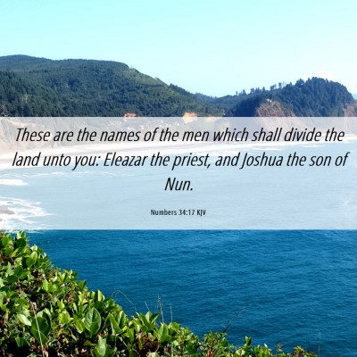 Picture 06 - Numbers 34:17 KJV - These are the names of the men which shall divide - Bible Verse Picture