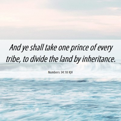 Picture 06 - Numbers 34:18 KJV - And ye shall take one prince of every tribe, to - Bible Verse Picture
