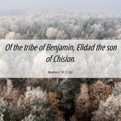 Picture 06 - Numbers 34:21 KJV - Of the tribe of Benjamin, Elidad the son of - Bible Verse Picture