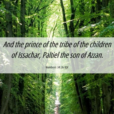 Picture 06 - Numbers 34:26 KJV - And the prince of the tribe of the children of - Bible Verse Picture