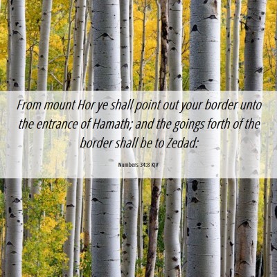 Picture 06 - Numbers 34:8 KJV - From mount Hor ye shall point out your border - Bible Verse Picture
