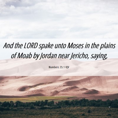 Picture 06 - Numbers 35:1 KJV - And the LORD spake unto Moses in the plains of - Bible Verse Picture