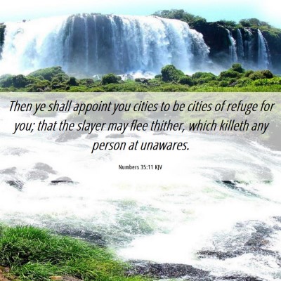 Picture 06 - Numbers 35:11 KJV - Then ye shall appoint you cities to be cities of - Bible Verse Picture