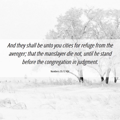 Picture 06 - Numbers 35:12 KJV - And they shall be unto you cities for refuge from - Bible Verse Picture