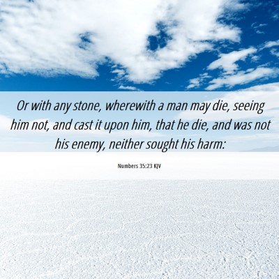 Picture 06 - Numbers 35:23 KJV - Or with any stone, wherewith a man may die, - Bible Verse Picture