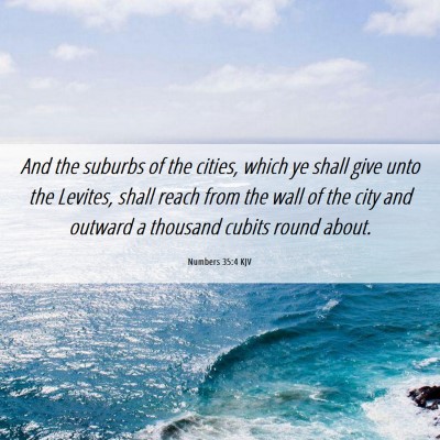 Picture 06 - Numbers 35:4 KJV - And the suburbs of the cities, which ye shall - Bible Verse Picture