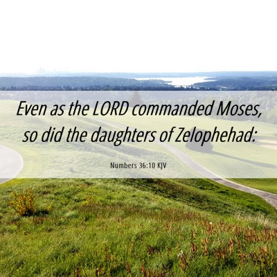 Picture 06 - Numbers 36:10 KJV - Even as the LORD commanded Moses, so did the - Bible Verse Picture