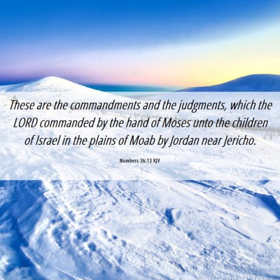 Picture 06 - Numbers 36:13 KJV - These are the commandments and the judgments, - Bible Verse Picture