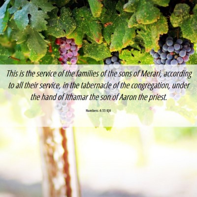 Picture 06 - Numbers 4:33 KJV - This is the service of the families of the sons - Bible Verse Picture