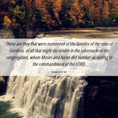 Picture 06 - Numbers 4:41 KJV - These are they that were numbered of the families - Bible Verse Picture