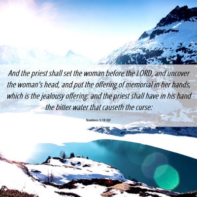 Picture 06 - Numbers 5:18 KJV - And the priest shall set the woman before the - Bible Verse Picture