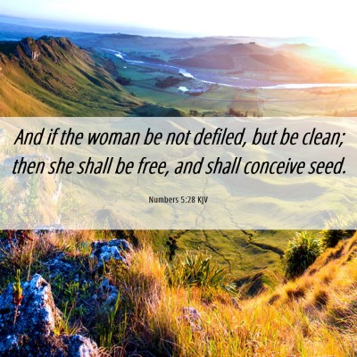 Picture 06 - Numbers 5:28 KJV - And if the woman be not defiled, but be clean; - Bible Verse Picture