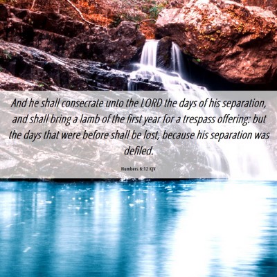 Picture 06 - Numbers 6:12 KJV - And he shall consecrate unto the LORD the days of - Bible Verse Picture