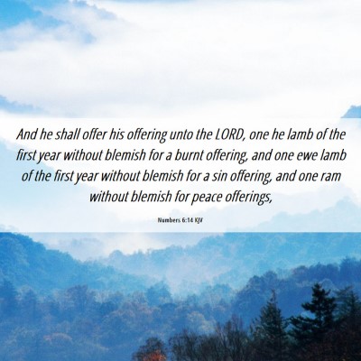 Picture 06 - Numbers 6:14 KJV - And he shall offer his offering unto the LORD, - Bible Verse Picture