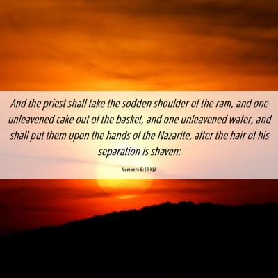 Picture 06 - Numbers 6:19 KJV - And the priest shall take the sodden shoulder of - Bible Verse Picture