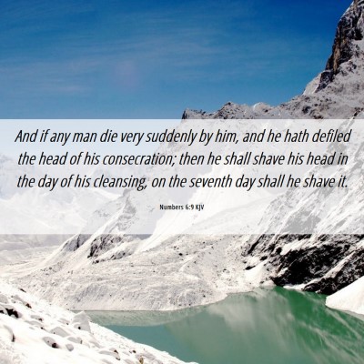 Picture 06 - Numbers 6:9 KJV - And if any man die very suddenly by him, and he - Bible Verse Picture