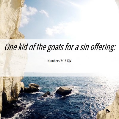 Picture 06 - Numbers 7:16 KJV - One kid of the goats for a sin - Bible Verse Picture